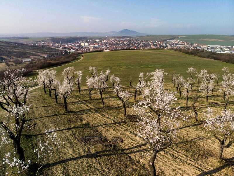 Pobytový balíček hotelu Wine Wellness Hotel Amande: Jsem na dovolené