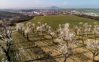 Pobytový balíček hotelu Wine Wellness Hotel Amande: Jsem na dovolené