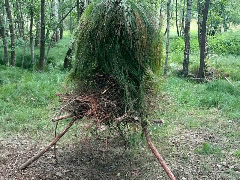 Kurz přežití v přírodě pro děti