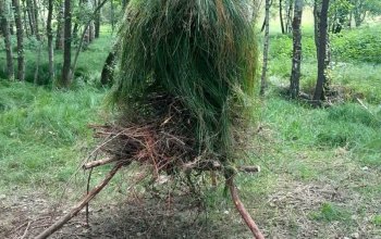 Kurz přežití v přírodě pro děti