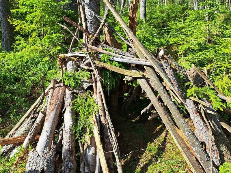 Kurz přežití v přírodě pro děti