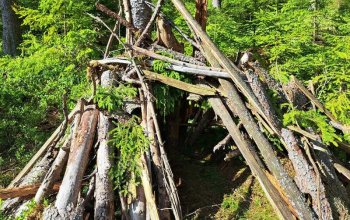 Kurz přežití v přírodě pro děti