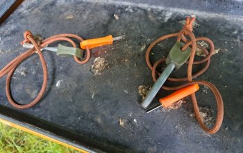 Kurz přežití v přírodě pro děti