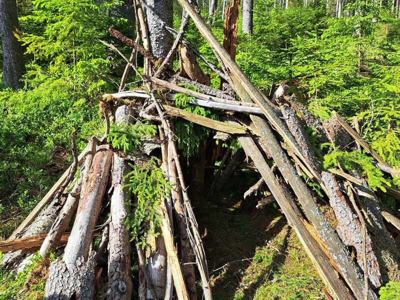 Kurz přežití v přírodě pro teenagery