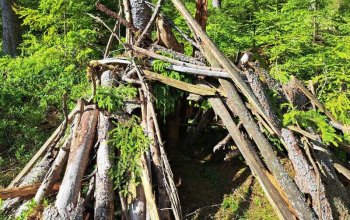 Kurz přežití v přírodě pro teenagery