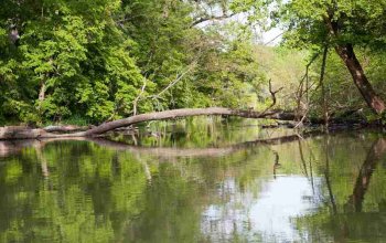 Vinařský výlet na koloběžce a v kánoi s degustací ve vinařství Hraniční zámeček – Lednice