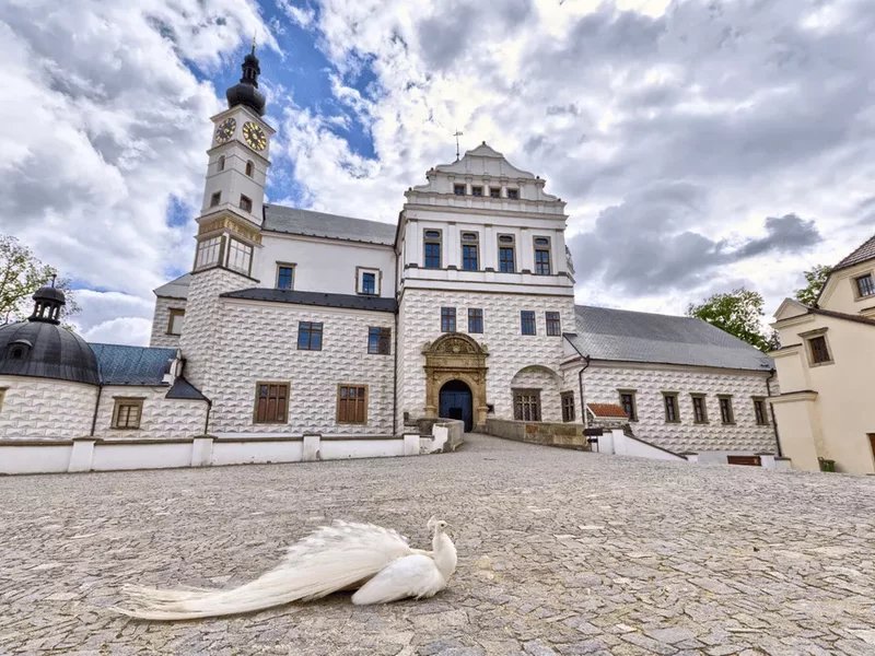 Venkovní únikové hry v českých městech