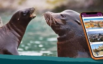 Venkovní únikovka v Zoo Lešná: Až 6 hráčů