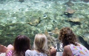 Venkovní únikovka v Zoo Lešná: Až 6 hráčů