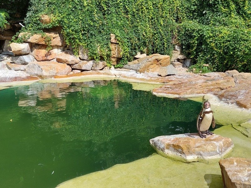 Venkovní únikovka v Zoo Lešná: Až 6 hráčů