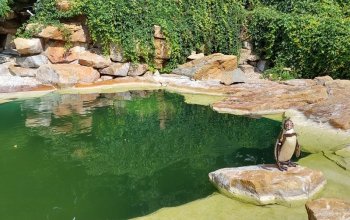 Venkovní únikovka v Zoo Lešná: Až 6 hráčů