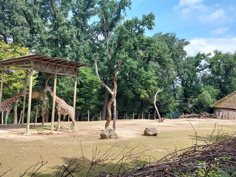 Venkovní únikovka v Zoo Lešná: Až 6 hráčů