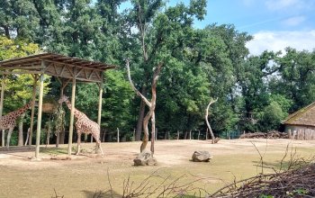 Venkovní únikovka v Zoo Lešná: Až 6 hráčů