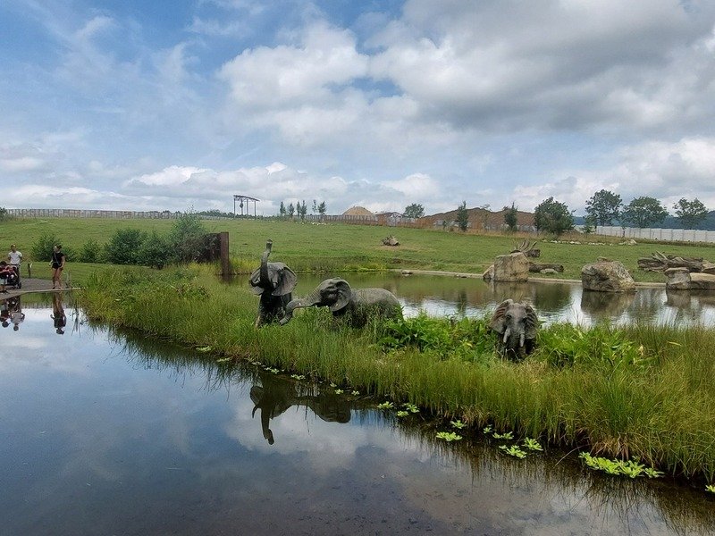 Venkovní únikovka v Zoo Lešná: Až 6 hráčů