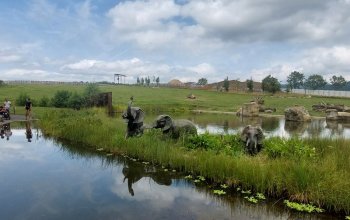 Venkovní únikovka v Zoo Lešná: Až 6 hráčů