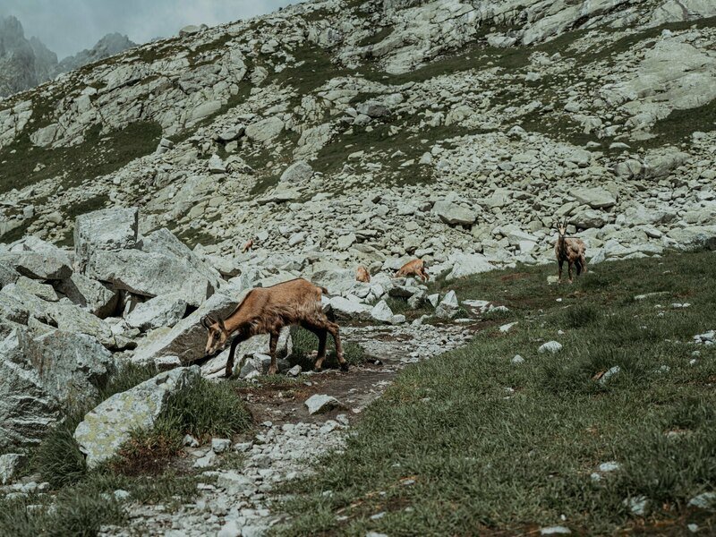 Výstup na Gerlachovský štít