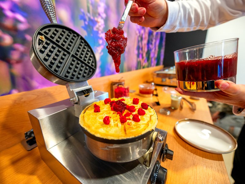 Pobyt v hotelu Nobilis + vstup do muzea Škoda