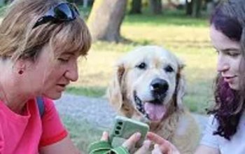 Venkovní únikovka v Ostravě: Až 6 hráčů