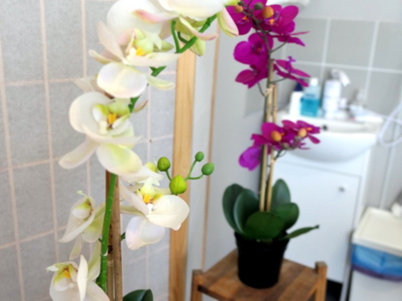 Wellness & Relax balíčky ve studiu STOIKA v Praze