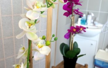 Wellness & Relax balíčky ve studiu STOIKA v Praze