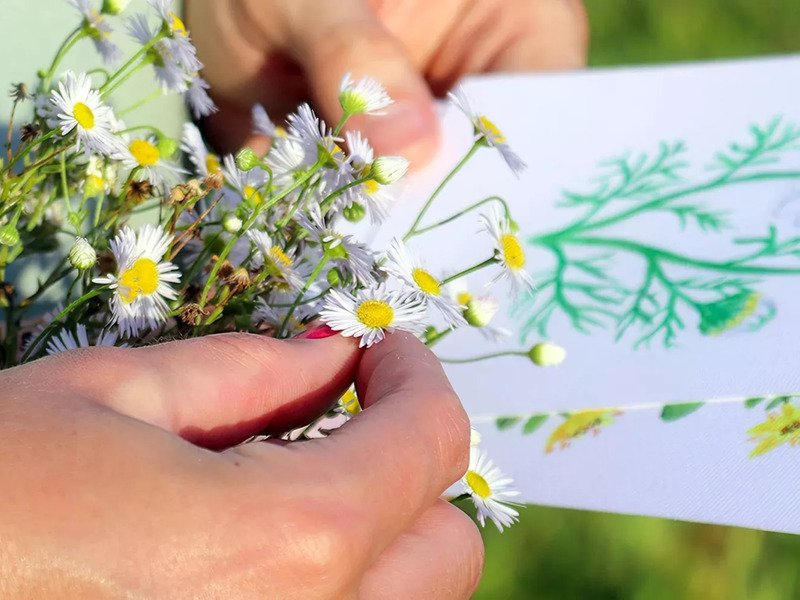 Venkovní hra Tajemné bylinky Petřína v Praze