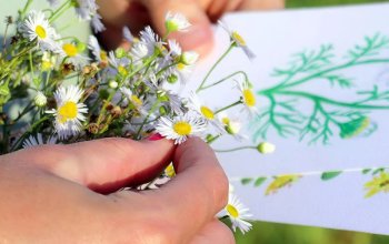 Venkovní hra Tajemné bylinky Petřína v Praze