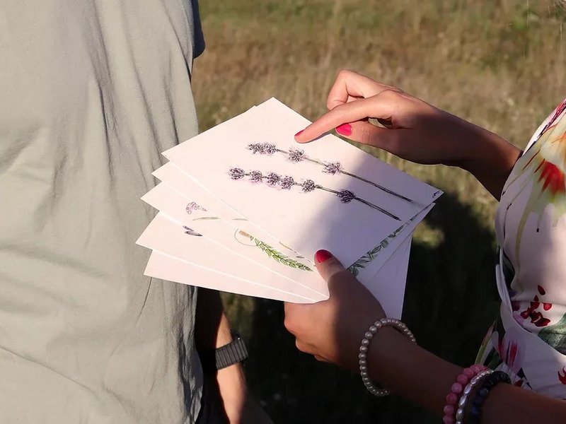 Venkovní hra Tajemné bylinky Petřína v Praze