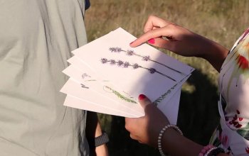 Venkovní hra Tajemné bylinky Petřína v Praze