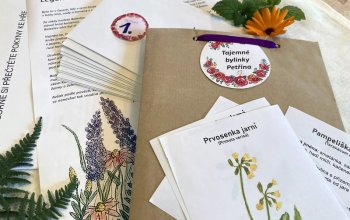 Venkovní hra Tajemné bylinky Petřína v Praze