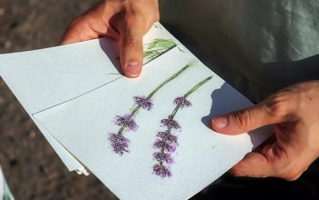 Venkovní hra Tajemné bylinky Petřína v Praze