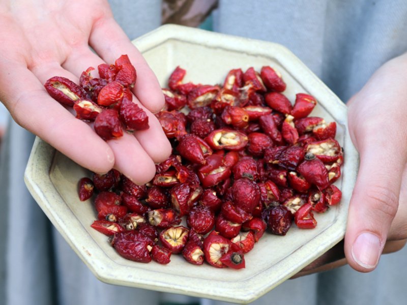 Venkovní hra Tajemné bylinky Petřína v Praze