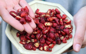 Venkovní hra Tajemné bylinky Petřína v Praze