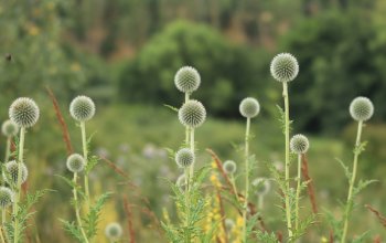 Venkovní hra Tajemné bylinky Petřína v Praze
