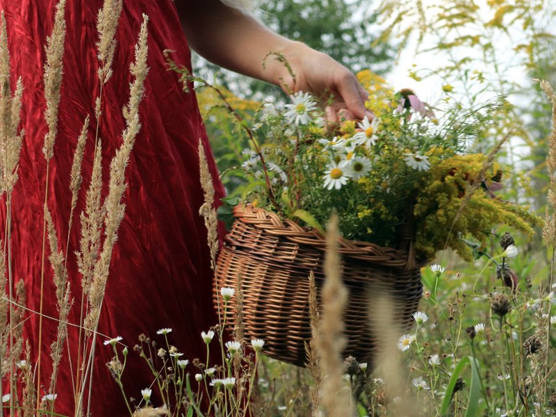 Individuální procházka přírodou s vůní bylin a relaxací