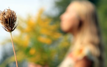 Individuální procházka přírodou s vůní bylin a relaxací