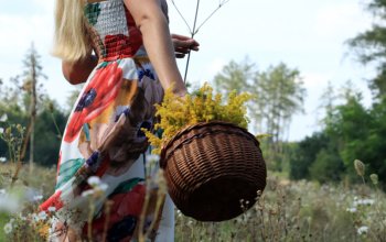 Individuální procházka přírodou s vůní bylin a relaxací