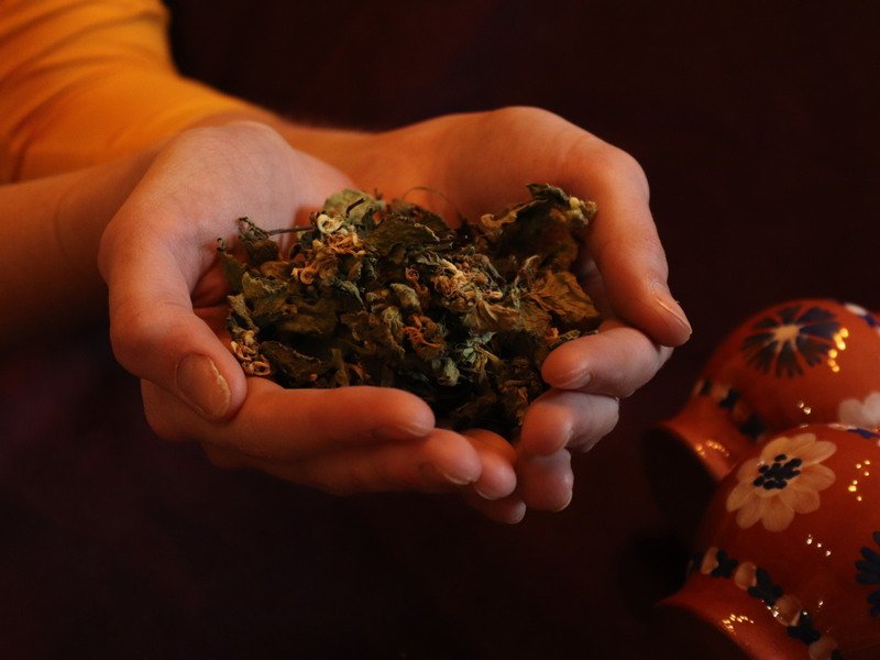 Individuální procházka přírodou s vůní bylin a relaxací