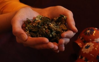 Individuální procházka přírodou s vůní bylin a relaxací