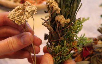 Individuální procházka přírodou s vůní bylin a relaxací