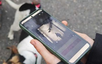 Venkovní úniková hra Lovci duchů: Tajemný rytíř