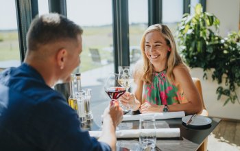 Pobyt na letišti s degustační večeří pro dva