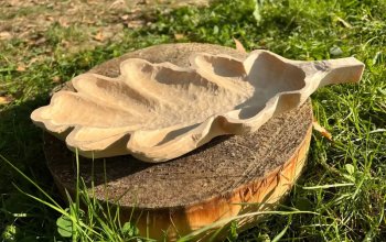 Vyřežte si vlastní misku a odneste si domů originál ze dřeva