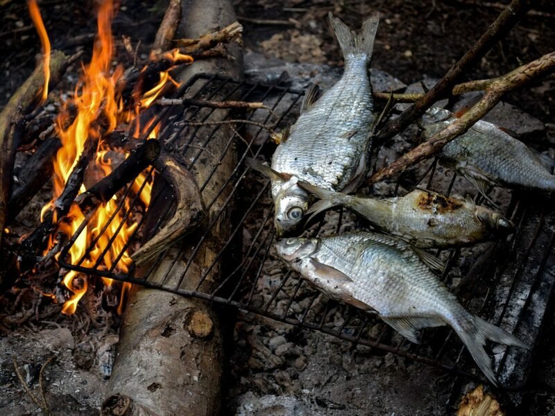 Kurz přežití v přírodě