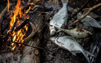 Kurz přežití v přírodě