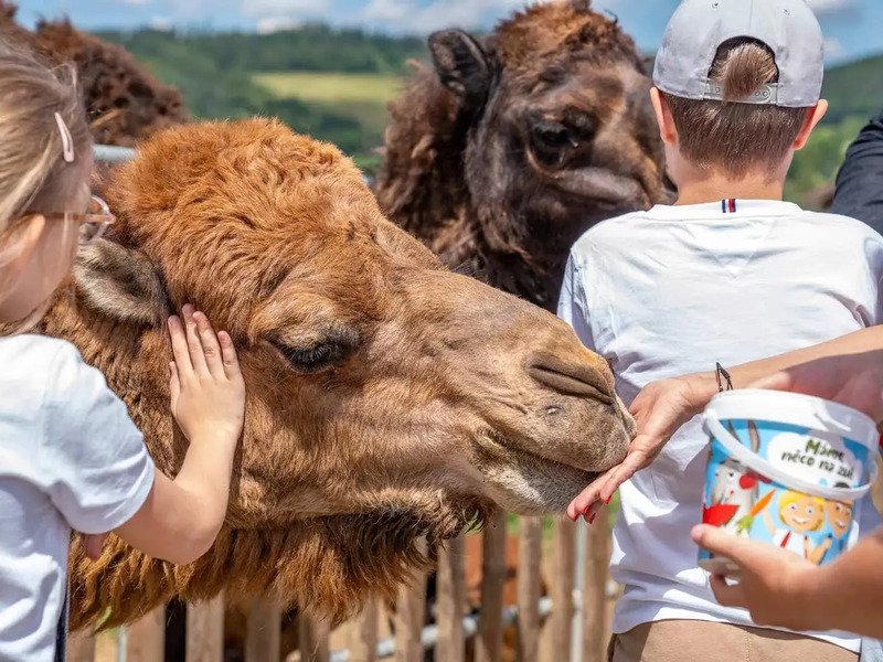 Celodenní vstup do Farmaparku Soběhrdy