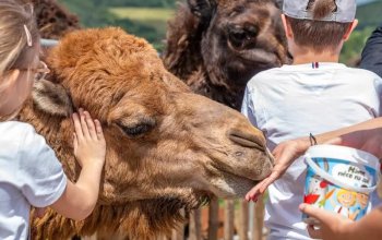 Celodenní vstup do Farmaparku Soběhrdy