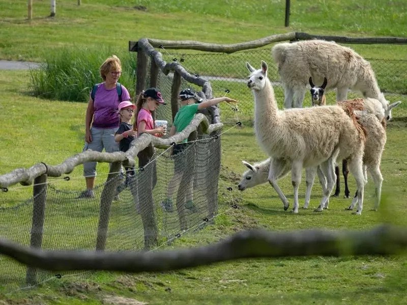 Celodenní vstup do Farmaparku Soběhrdy