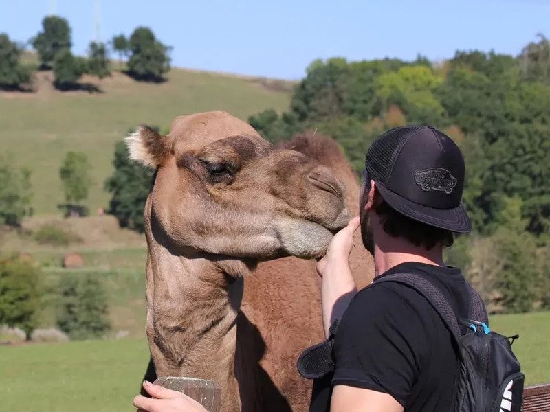 Celodenní vstup do Farmaparku Soběhrdy