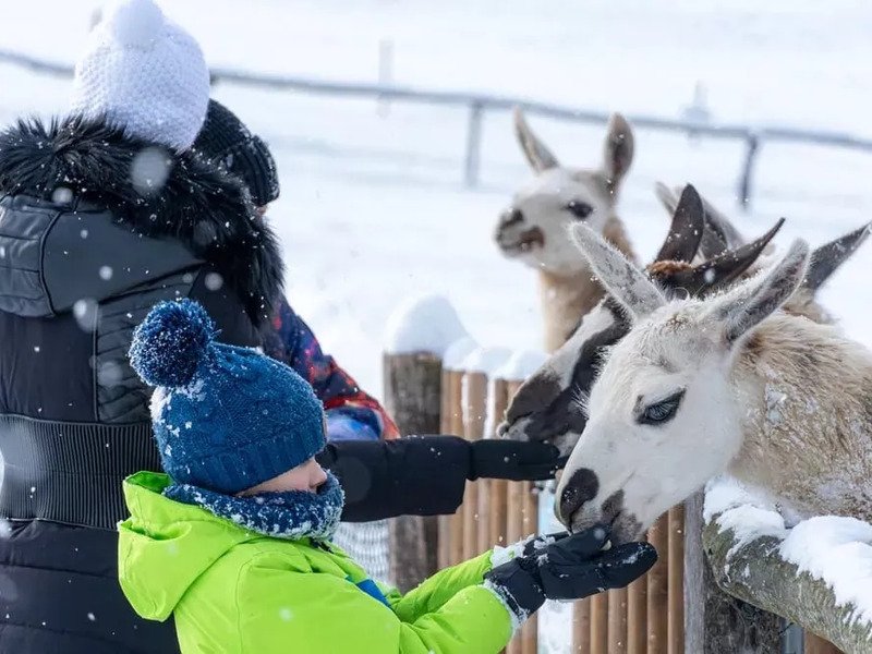 Celodenní vstup do Farmaparku Soběhrdy