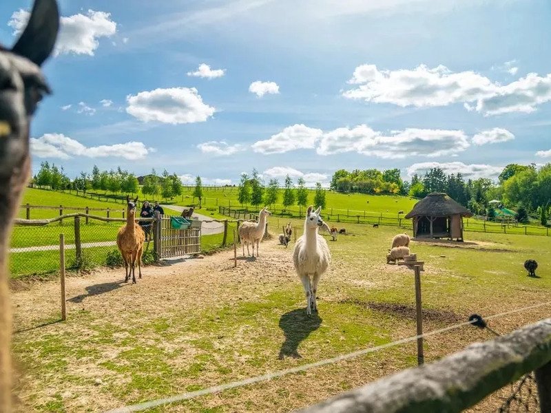 Celodenní vstup do Farmaparku Soběhrdy